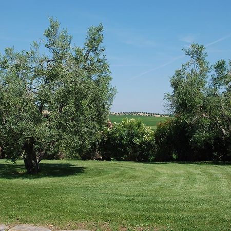 Agriturismo Le Coccinelle Magliano in Toscana Bagian luar foto