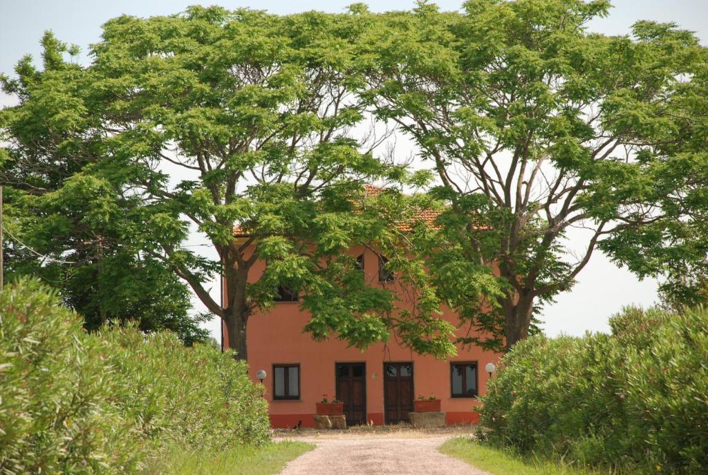 Agriturismo Le Coccinelle Magliano in Toscana Bagian luar foto