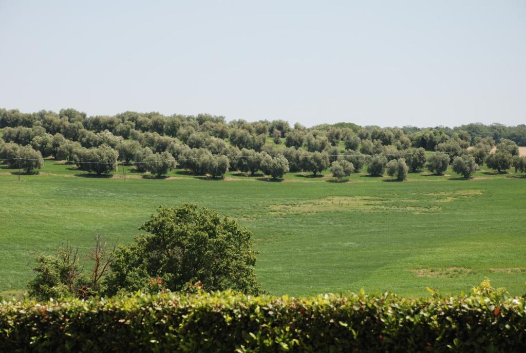 Agriturismo Le Coccinelle Magliano in Toscana Bagian luar foto