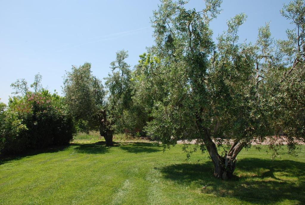 Agriturismo Le Coccinelle Magliano in Toscana Bagian luar foto