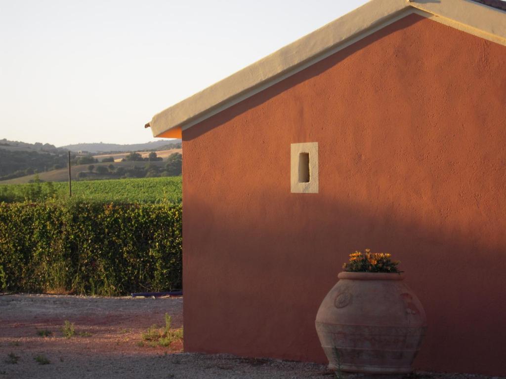 Agriturismo Le Coccinelle Magliano in Toscana Bagian luar foto