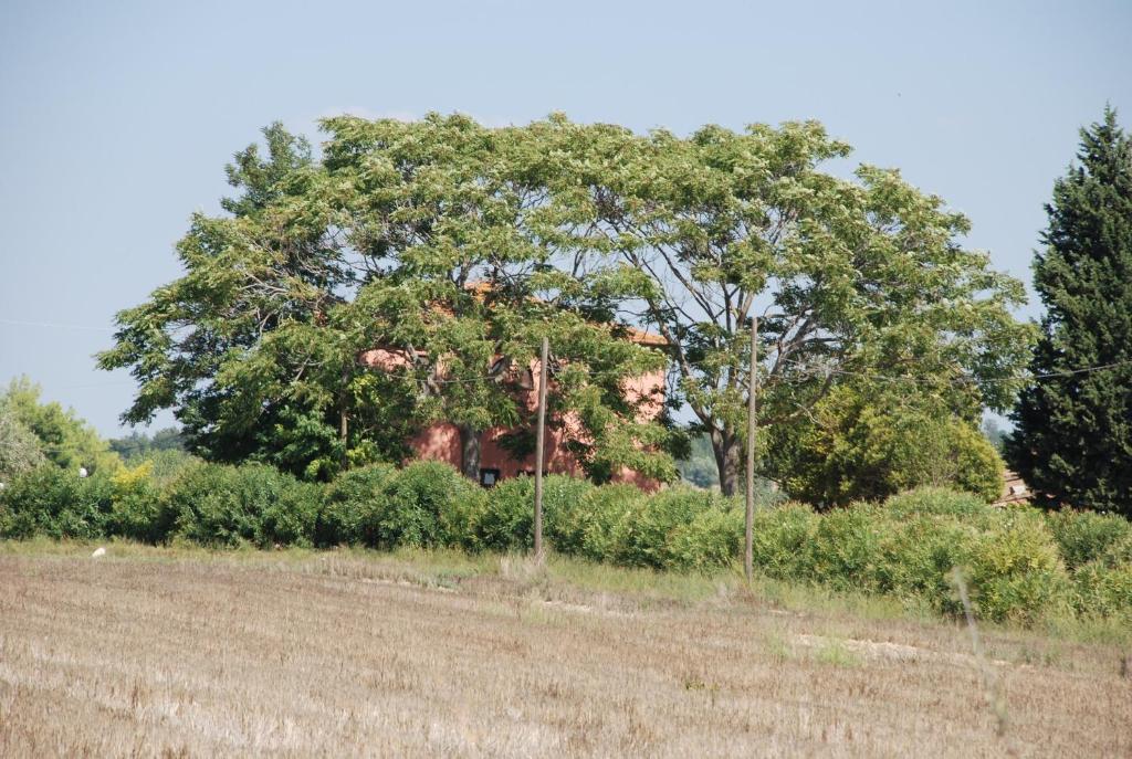 Agriturismo Le Coccinelle Magliano in Toscana Bagian luar foto