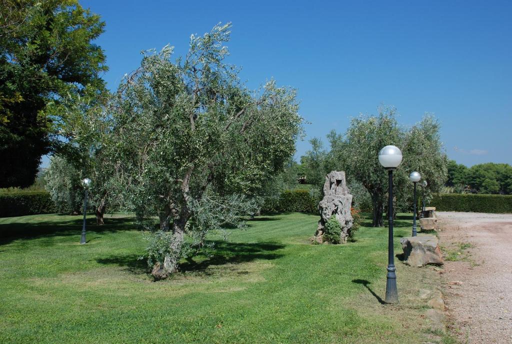 Agriturismo Le Coccinelle Magliano in Toscana Bagian luar foto