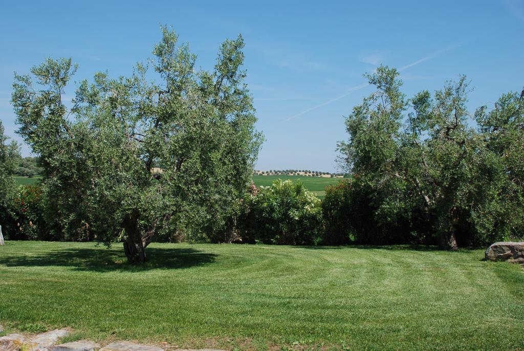 Agriturismo Le Coccinelle Magliano in Toscana Bagian luar foto