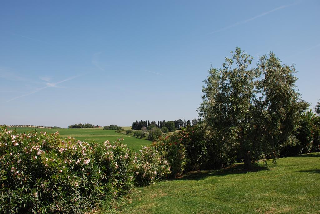 Agriturismo Le Coccinelle Magliano in Toscana Bagian luar foto