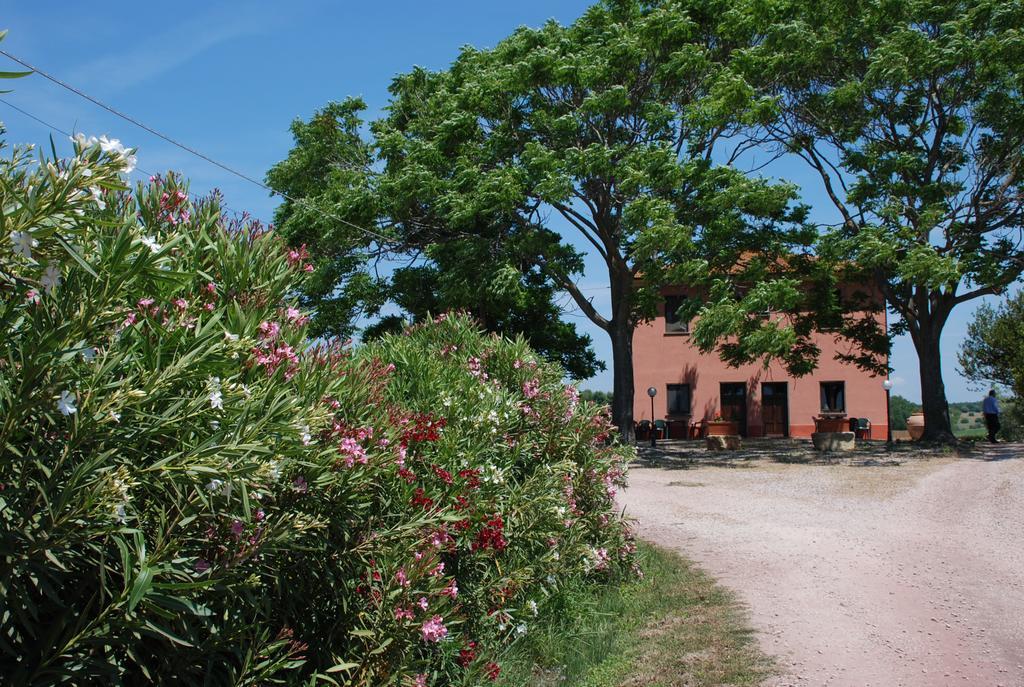 Agriturismo Le Coccinelle Magliano in Toscana Bagian luar foto